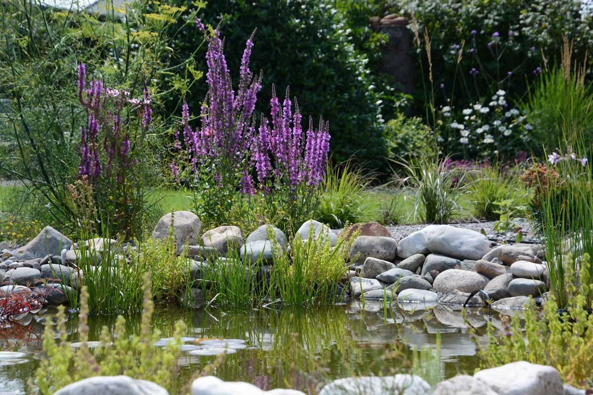 Garden Design and Landscaping incorporating a wildlife pond