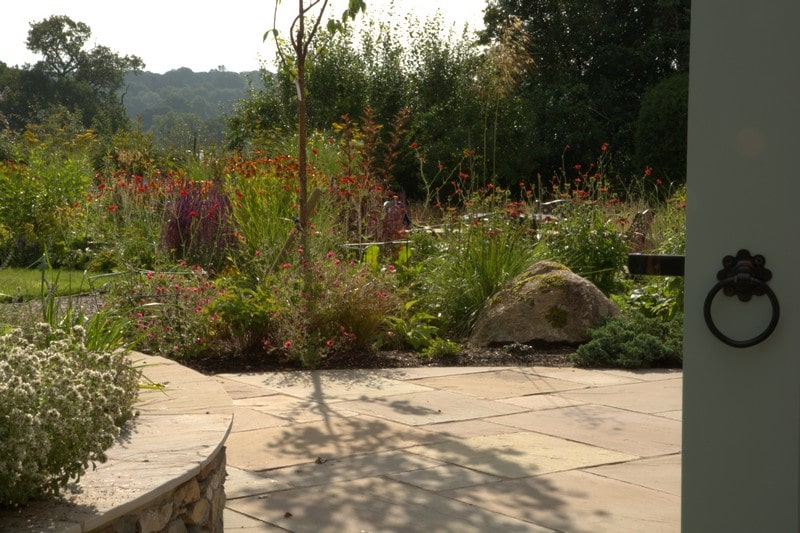 Cottage garden planting