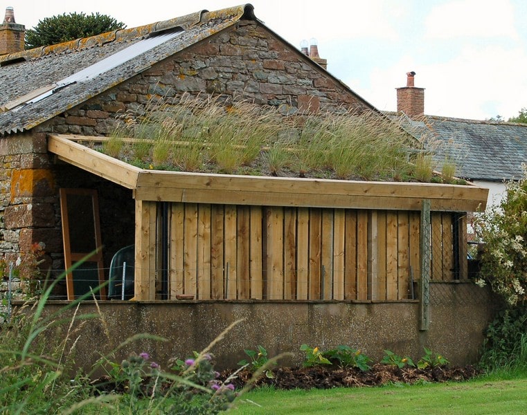 Grassy Green roof on a shed 800-min Grassy Green roof on a shed