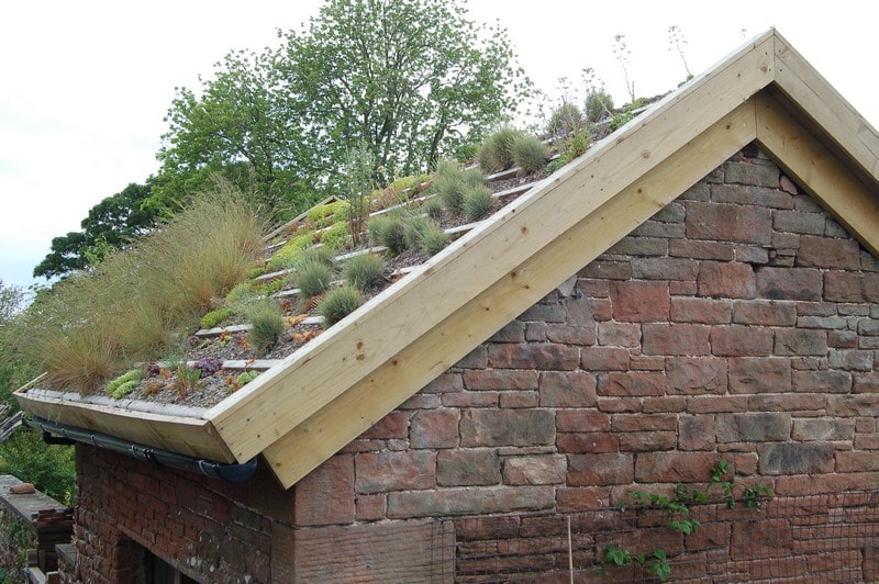 Green roof on an outbuilding