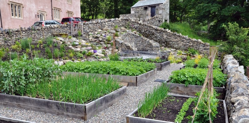 Kitchen garden