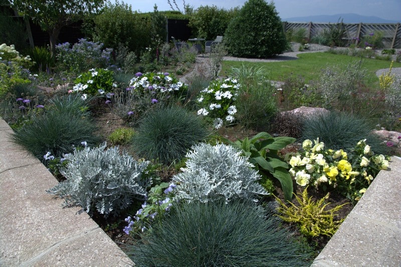 A garden planted with a mix of grasses and seasonal colour
